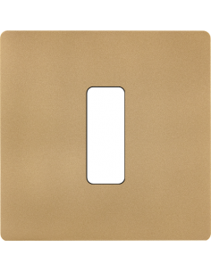 PLAQUE 1 POSTE 1 BOUTON...
